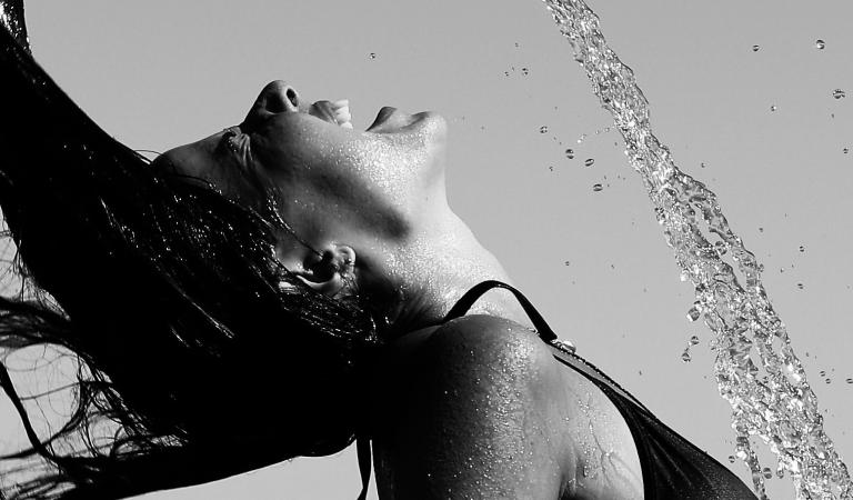 What is a dissertation image